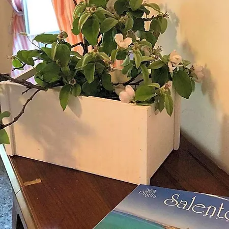 Volver Nocleg ze śniadaniem 4*