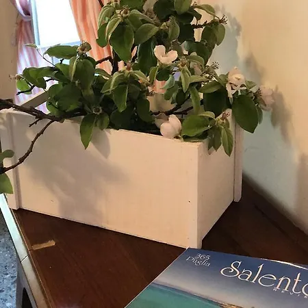 Volver Bed & Breakfast Lecce