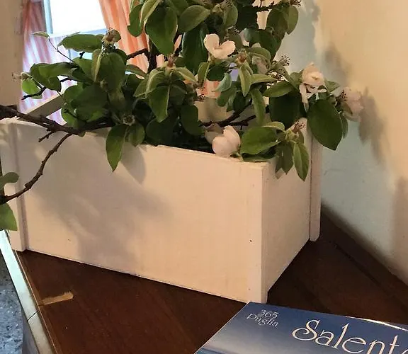 Volver Alojamento de Acomodação e Pequeno-almoço Lecce